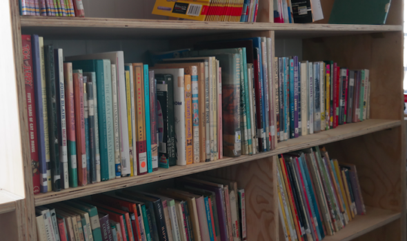 Books On Shelves Asithuthuke