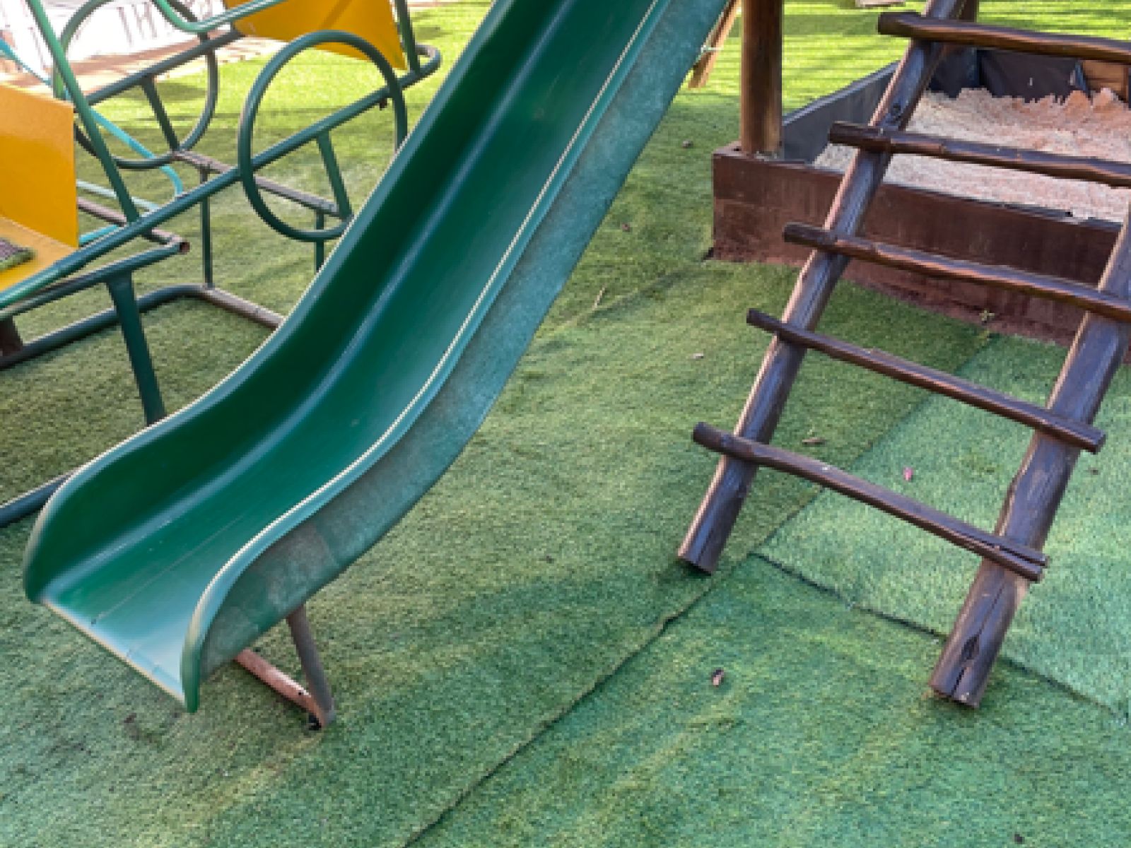 Growing seeds Pre-Primary