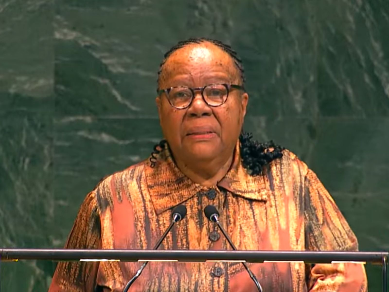 Pandor at UN