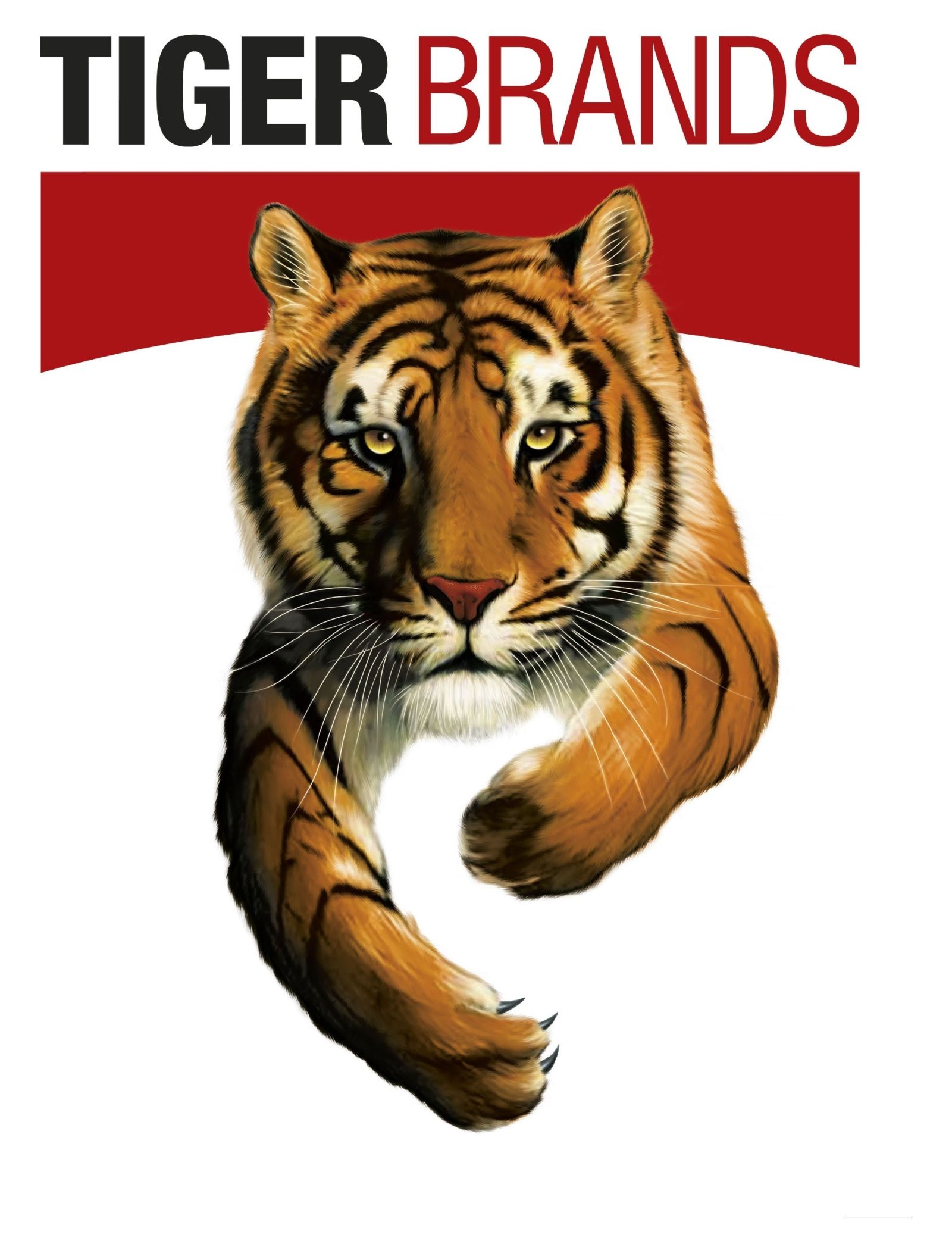 6111 Tiger Logo CMYK final